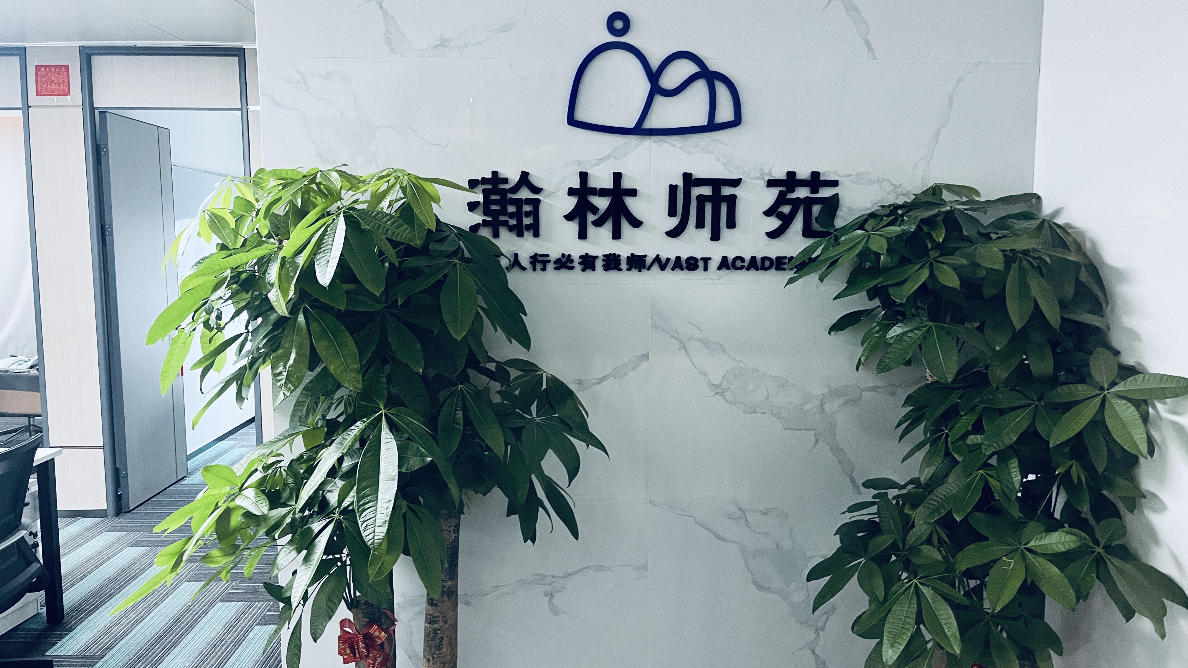 陈飞